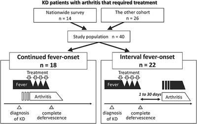 Overlapping Features in Kawasaki Disease-Related Arthritis and Systemic-Onset Juvenile Idiopathic Arthritis: A Nationwide Study in Japan